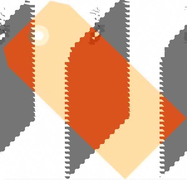 Blank Tag: 6-1/4'' High, Orange, Vinyl